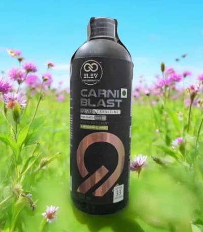 Elev Nutrition L-Carnitine 5000 Mg Liquid 31 Servings