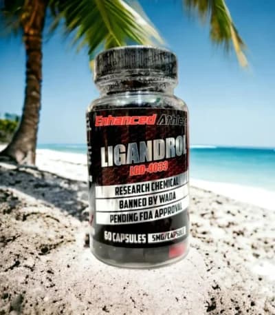 Enhanced LGD4033 Ligandrol 60 Capsules
